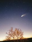Comet Halle-Bop