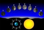 The Lunar Phases